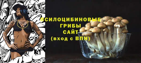 меф Алексин