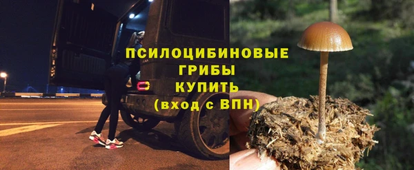меф Алексин