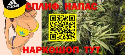 прущие крисы Кингисепп