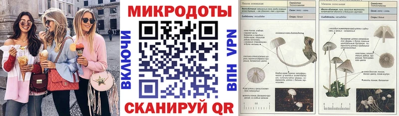 Галлюциногенные грибы прущие грибы  Котлас 