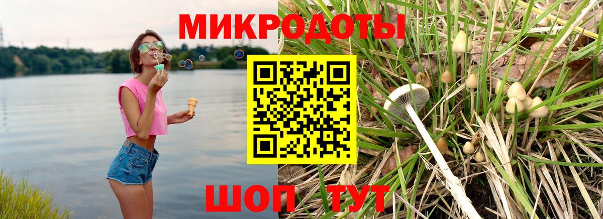 Псилоцибиновые грибы прущие грибы Котлас