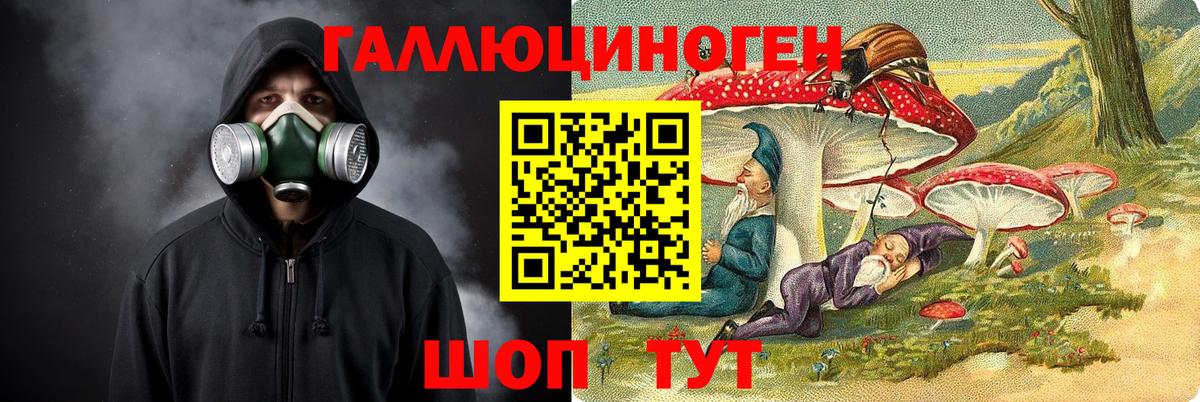 Псилоцибиновые грибы MAGIC MUSHROOMS  Вход с VPN  Котлас 