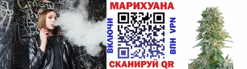 где можно купить   площадка как зайти  Бошки Шишки THC 21%  Котлас 